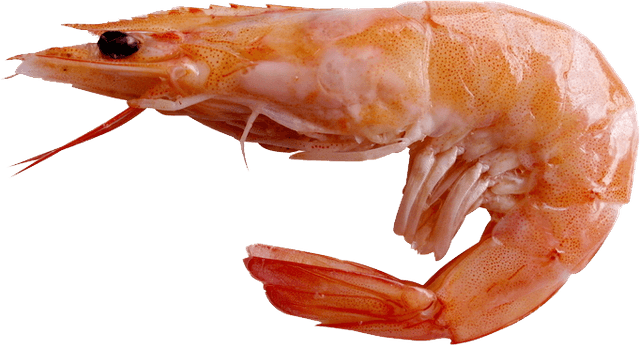 Shrump